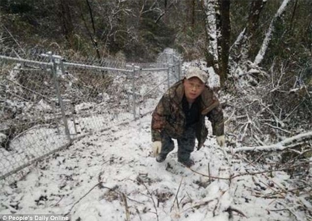 Trung Quốc: Bảo mẫu bị gấu trúc đánh trọng thương, phải nhập viện trong tình trạng nguy kịch - Ảnh 2.