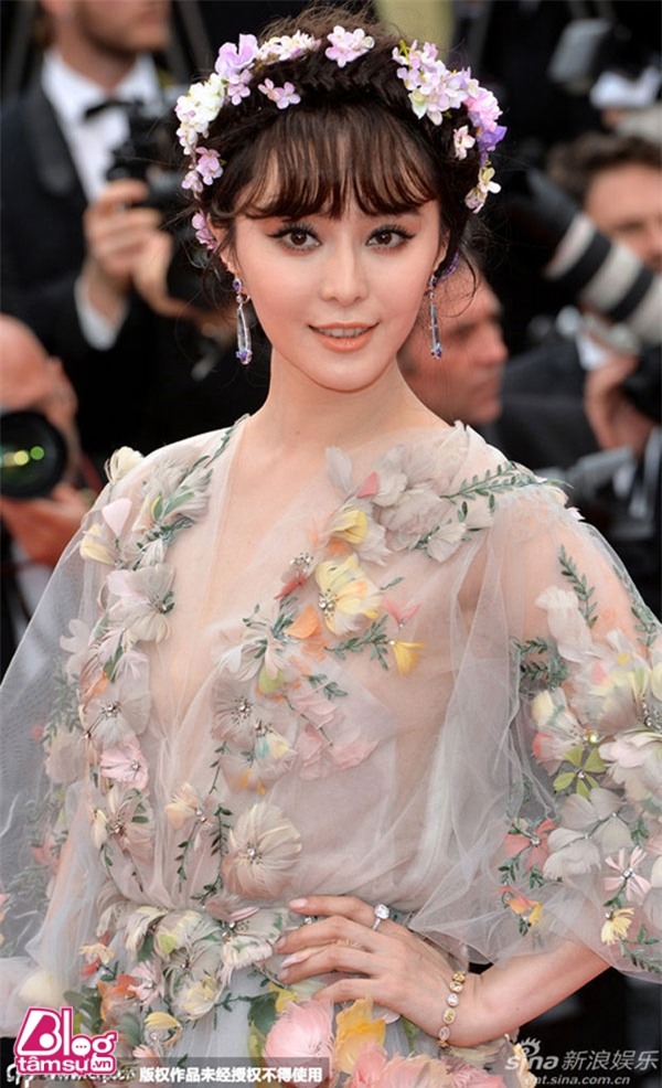 phambangbangblogtamsuvn1