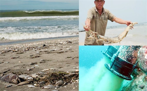 10 điểm nóng kinh tế Việt Nam 2016