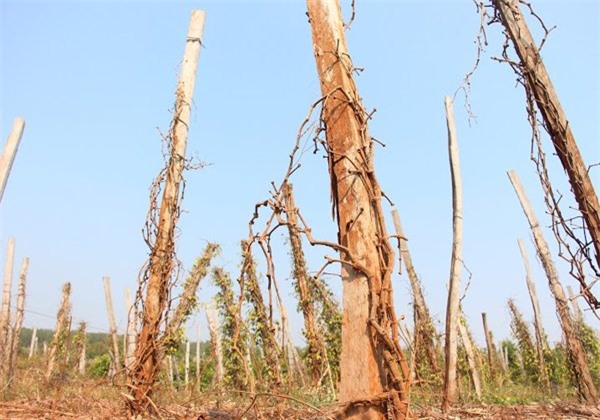 10 điểm nóng kinh tế Việt Nam 2016