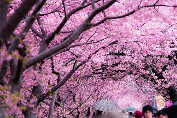 12 điểm đến có vẻ đẹp siêu tưởng khiến bạn không tin vào mắt mình - Ảnh 19.