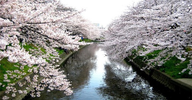 12 điểm đến có vẻ đẹp siêu tưởng khiến bạn không tin vào mắt mình - Ảnh 20.