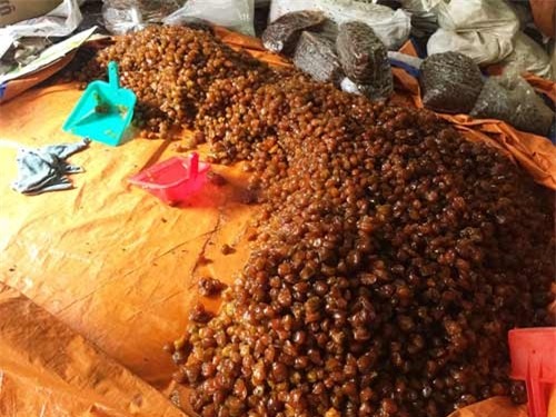 Phát hiện nhiều tấn mứt bẩn ở Sài Gòn chuẩn bị bán ra thị trường - 1