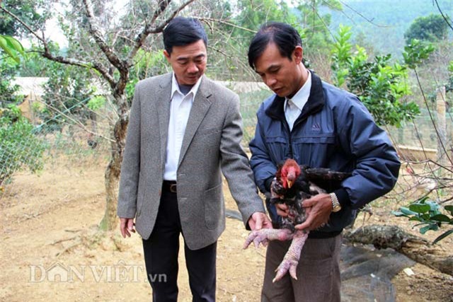 “lac” vao trai ga quy hiem doc nhat xu thanh hinh anh 2
