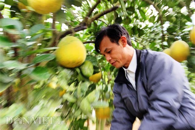 “lac” vao trai ga quy hiem doc nhat xu thanh hinh anh 7