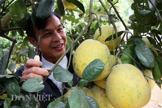 “lac” vao trai ga quy hiem doc nhat xu thanh hinh anh 8