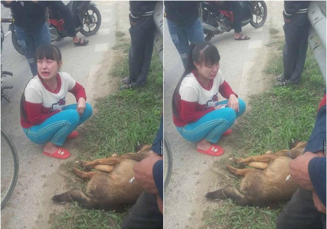 Cô bé khóc nức nở bên cạnh chú chó bị tai nạn ngày cuối năm gây bão mạng - Ảnh 2.