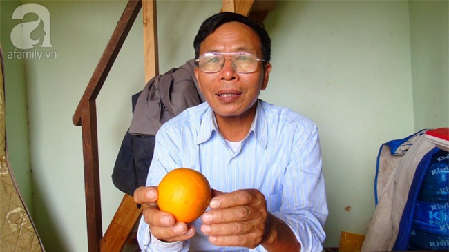 Giáp Tết, cam xã Đoài bán tại vườn đã 60.000 đồng một quả mà vẫn cháy hàng - Ảnh 6.