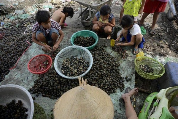 Lớp học giữa Sài Gòn của các cô cậu bé không biết 'mùi học thêm'