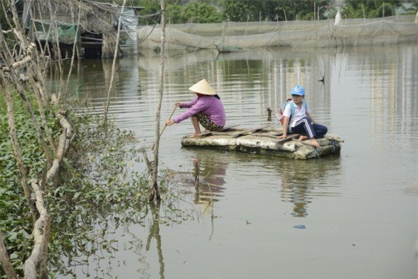 Lớp học giữa Sài Gòn của các cô cậu bé không biết 'mùi học thêm'