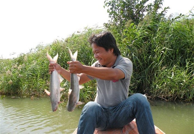 Giảng viên đại học bỏ về quê nuôi thỏ kiếm lãi 3 tỷ/năm