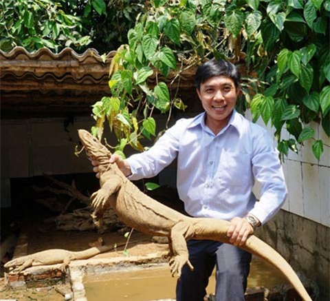 Giảng viên đại học bỏ về quê nuôi thỏ kiếm lãi 3 tỷ/năm