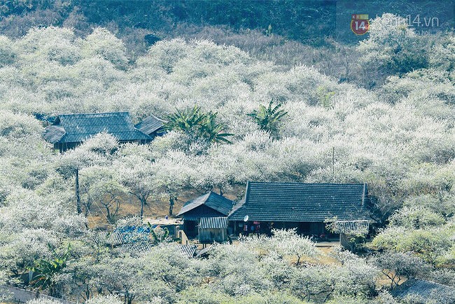 4 địa điểm du lịch không thể tuyệt vời hơn cho chuyến đi tháng 1 - Ảnh 1.