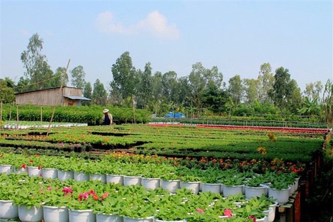 4 địa điểm du lịch không thể tuyệt vời hơn cho chuyến đi tháng 1 - Ảnh 11.