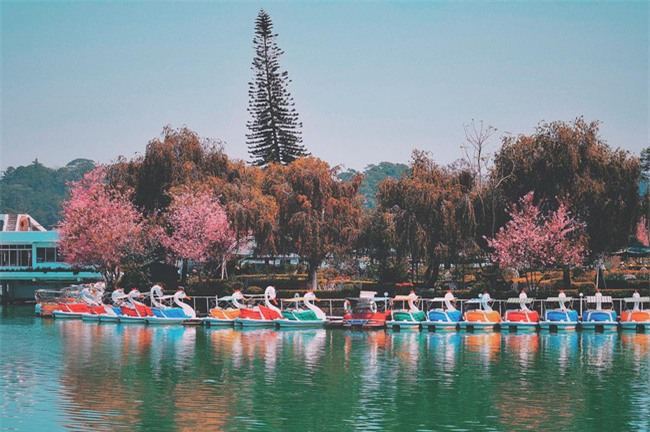 4 địa điểm du lịch không thể tuyệt vời hơn cho chuyến đi tháng 1 - Ảnh 3.