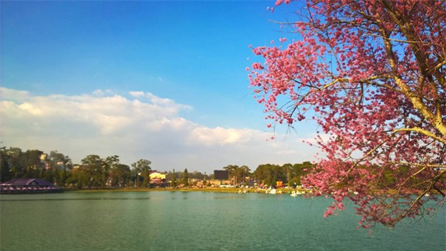 4 địa điểm du lịch không thể tuyệt vời hơn cho chuyến đi tháng 1 - Ảnh 4.