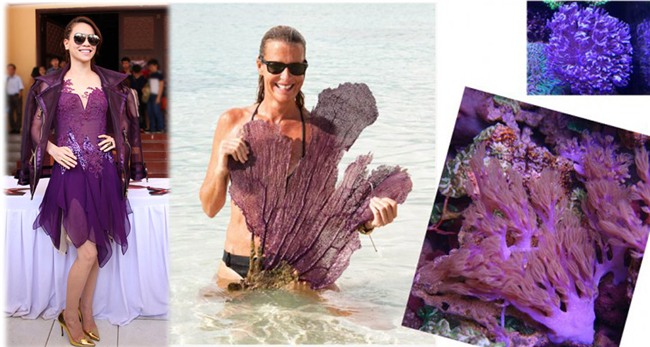 do ban nhin duoc cuoi khi ho ngoc ha, my tam bi che anh thoi trang - 2