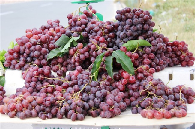 Hình ảnh có liên quan