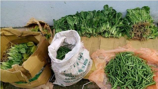 da nang: rau cu dat hon thit bo, me gui rau que vuot 500 km cho con hinh anh 1