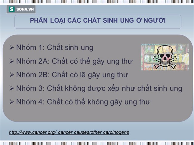 Tài liệu hướng dẫn cách ăn uống phòng chống ung thư [BS Trần Thị Anh Tường, BV Ung bướu TP.HCM] - Ảnh 8.