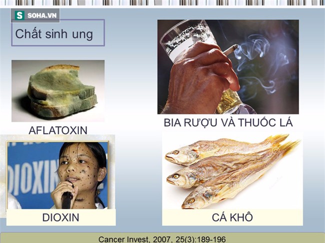 Tài liệu hướng dẫn cách ăn uống phòng chống ung thư [BS Trần Thị Anh Tường, BV Ung bướu TP.HCM] - Ảnh 9.