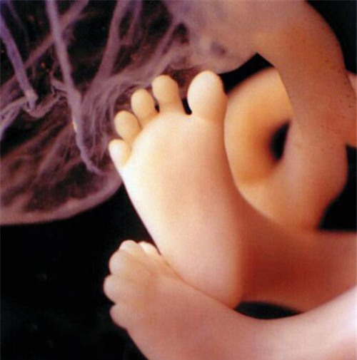 nhung buc anh sieu am ro tung centimet khien bac si cung phai giat minh - 7