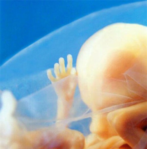 nhung buc anh sieu am ro tung centimet khien bac si cung phai giat minh - 9