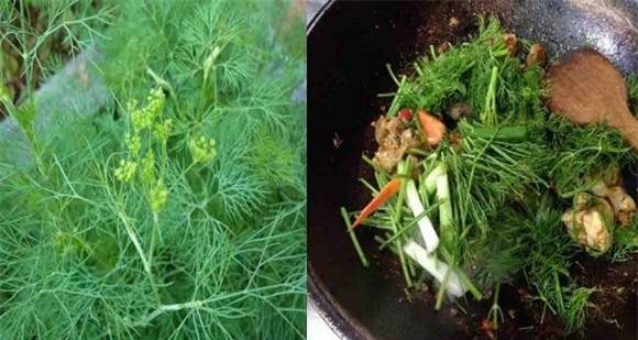 loi-ich-thi-la-ngoisao.vn-w950-h507.jpg 0