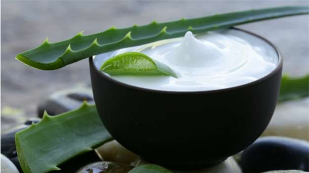 Đừng nghĩ lô hội chỉ để bôi da, loại cây này còn giúp trị dứt điểm vô vàn bệnh mà bạn không hay biết - Ảnh 3.