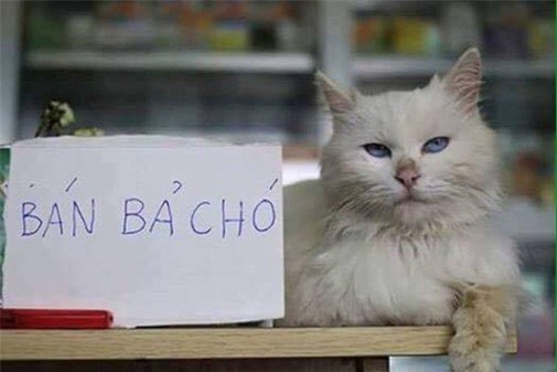 anh-hot-blogtamsuvn.png 10