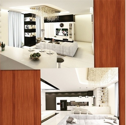 kham pha can ho penhouse 20 ty dong 