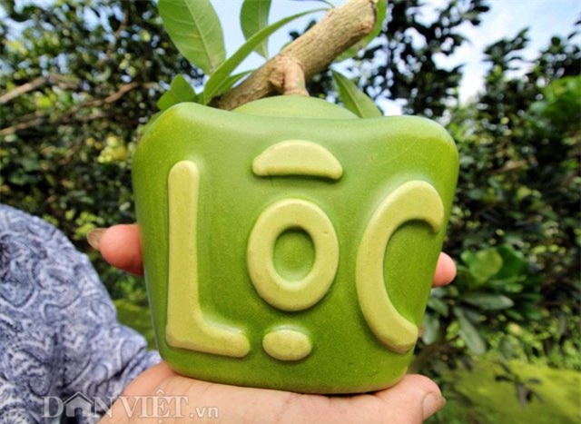 Bỏ tiền triệu đặt mua đào tiên thỏi vàng Tài Lộc độc lạ đón Tết