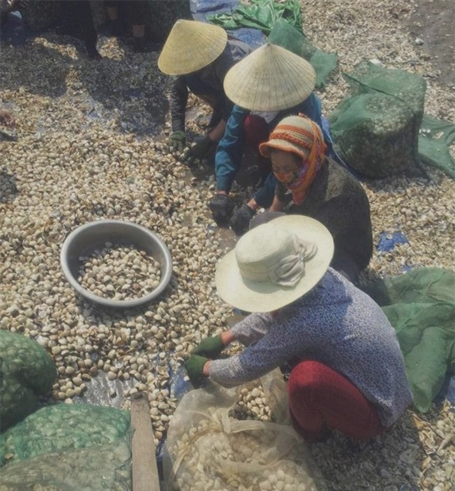 Cảnh tượng chưa từng thấy trong 10 năm qua tại Thanh Hóa - Ảnh 1.