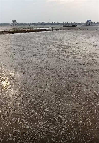 Cảnh tượng chưa từng thấy trong 10 năm qua tại Thanh Hóa - Ảnh 2.