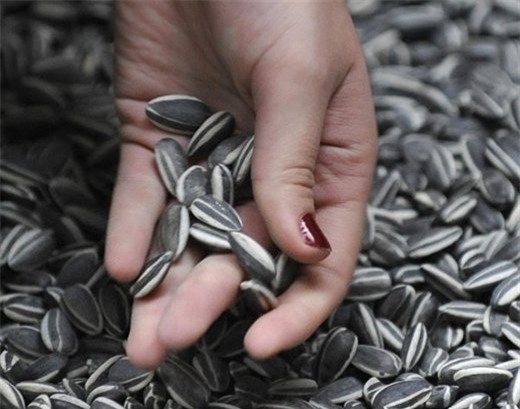 5 loại hạt ‘ngậm’ hóa chất cực độc dịp Tết bà nội trợ cần cảnh giác