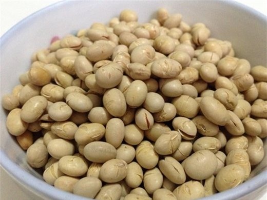 5 loại hạt ‘ngậm’ hóa chất cực độc dịp Tết bà nội trợ cần cảnh giác