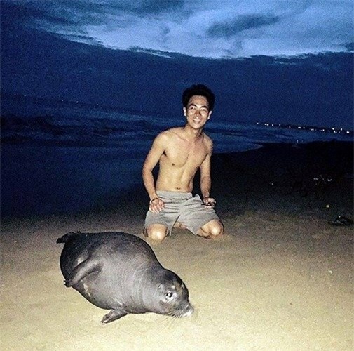 Hải cẩu bị đánh chết và nỗi oan của người dân Phan Rí Cửa