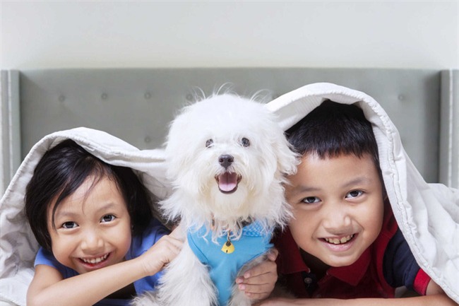 Nhờ bí quyết này, cặp vợ chồng vẫn hạnh phúc như ngày đầu sau 26 năm chung sống - Ảnh 3.