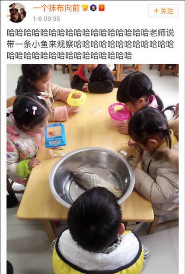 Sau cô bé Vô Diện, đến lượt con cá khác biệt của cậu bé này khiến người ta cười lăn lộn - Ảnh 2.