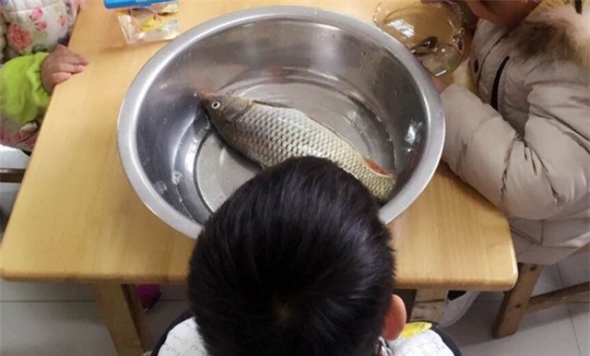 Sau cô bé Vô Diện, đến lượt con cá khác biệt của cậu bé này khiến người ta cười lăn lộn - Ảnh 3.