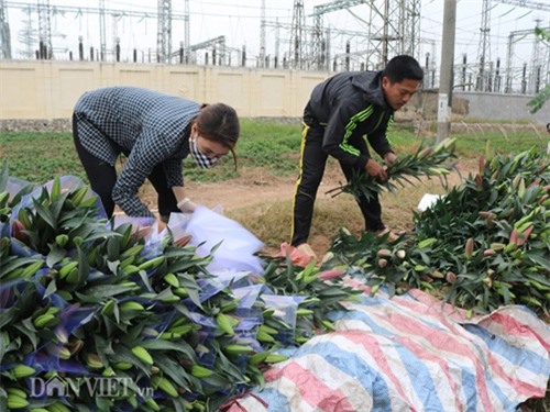 ha noi: hoa ly no do dong, ban gia