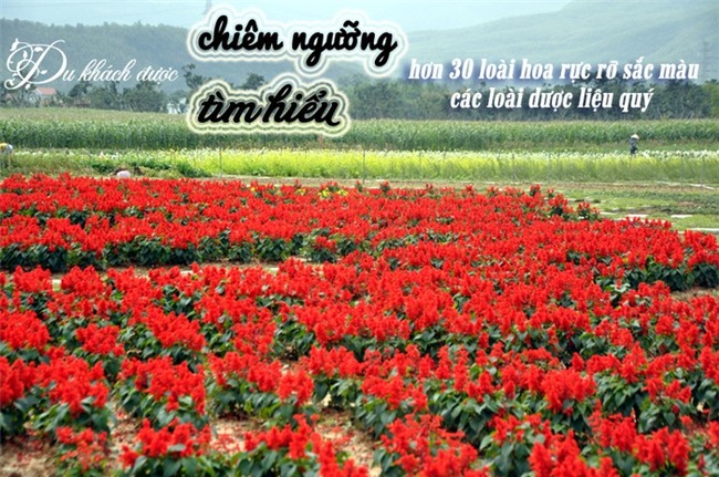 Những địa điểm du lịch mới nổi làm 'nức lòng' dân mê xê dịch