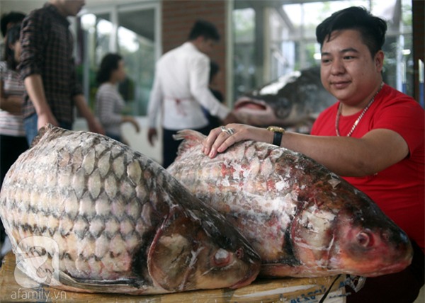 Nhà giàu Hà Nội bỏ cả trăm triệu mua cá khổng lồ về ăn Tết - Ảnh 14.