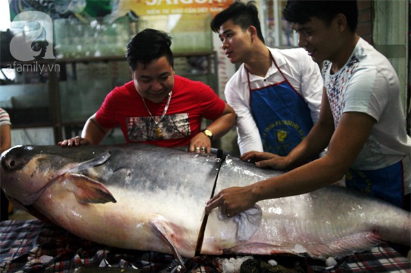 Nhà giàu Hà Nội bỏ cả trăm triệu mua cá khổng lồ về ăn Tết - Ảnh 9.