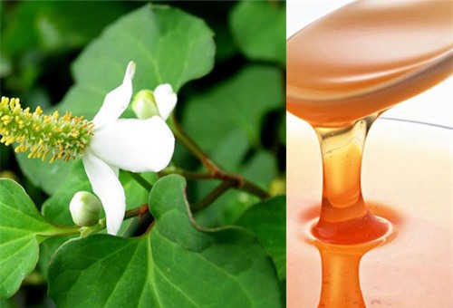 ket hop thu nay voi rau diep ca gia nat, mun cung dau den dau cung het sach den do - 2