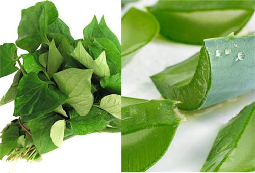 ket hop thu nay voi rau diep ca gia nat, mun cung dau den dau cung het sach den do - 5