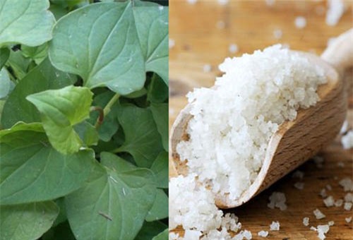 ket hop thu nay voi rau diep ca gia nat, mun cung dau den dau cung het sach den do - 7