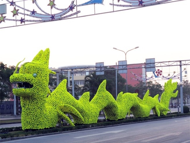 Thao go hoa vang tren hinh rong gay tranh cai o Hai Phong hinh anh 1