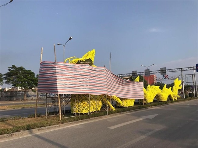 Thao go hoa vang tren hinh rong gay tranh cai o Hai Phong hinh anh 2