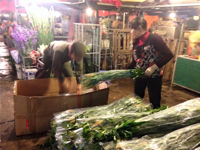 gia hoa se tang vu vu dip can tet? hinh anh 1